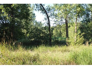 Property photo 57 - LAND AUCTION - 440+/- ACRES OFFERED IN 17 TRACTS IN OSAGE CO., OKLAHOMA